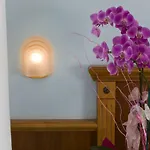 Alsen רימיני