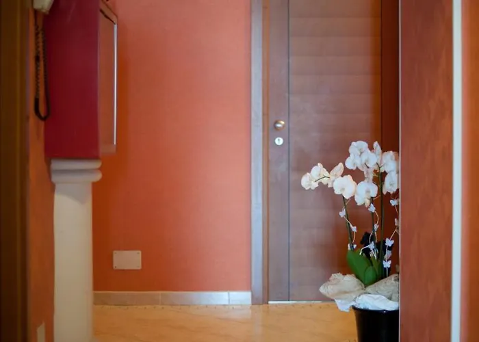 Hotel Alsen Rimini